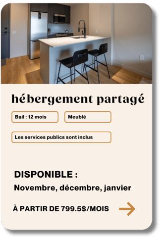 HEB JAN SHADOW HEB JAN SHADOW